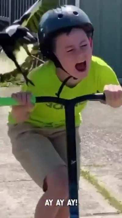 Kiddo having a bad day