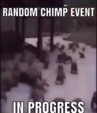 It's happening brace yourselves