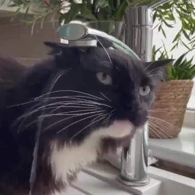 To drink water