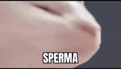 Sperma