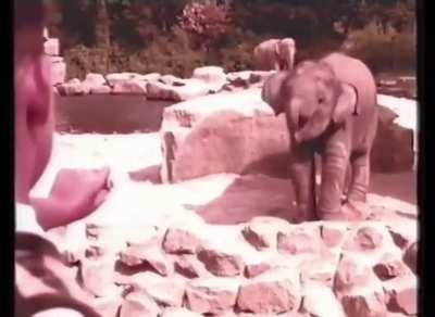 Blursed_Chocolate Ad