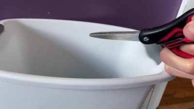 I smacked this fucker out of the air with a spoon. This is what happens when you fly into my kitchen like you own it