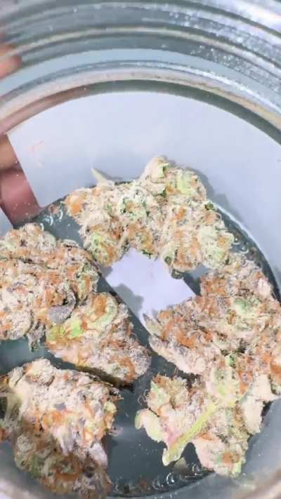 Nez - Swampwater Fumez