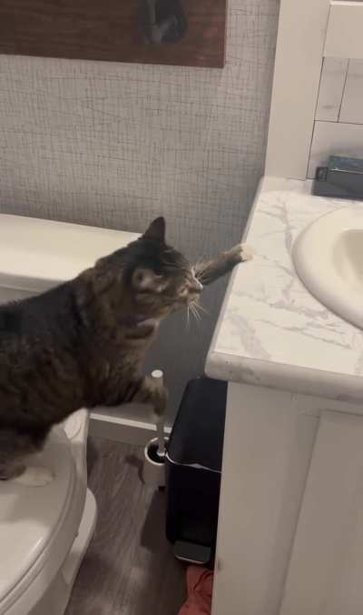 That’s like… 6 inches.