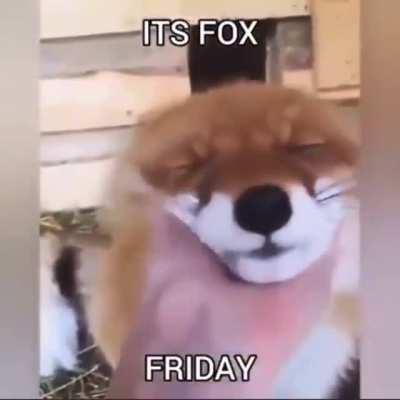 Happy fox Friday