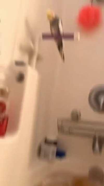 I thought birds were suppose to be graceful