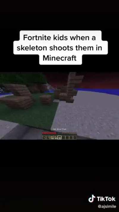 Pretty accurate @ajsimile on tik tok