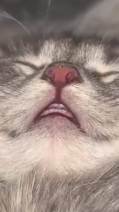 The teeth looks like 🤍🤍