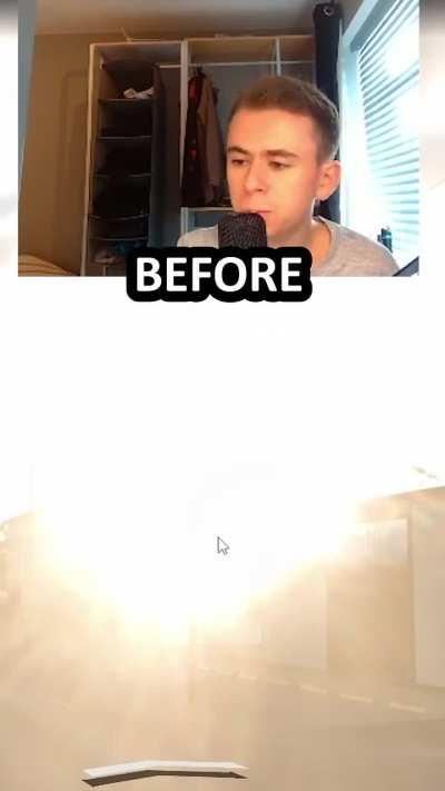 Very american looking trees