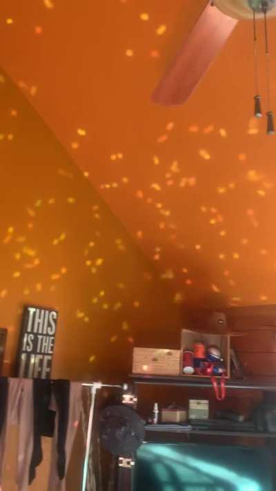 Sequins meet Sunshine