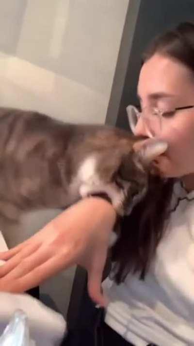 brUTAL muRDEr!! WoMan gEts rEVenGe oN thE aSSaUltEr!