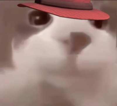 flanker tc2 gives you a kiss