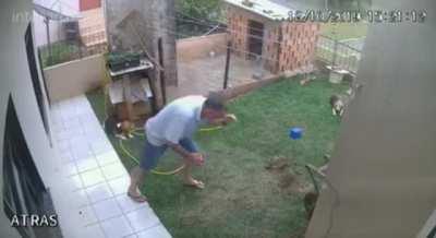 Why should I pay for a professional