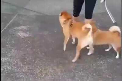 Interesting technique