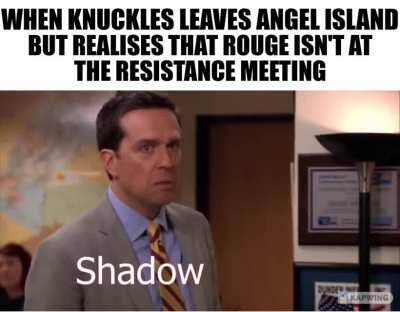 When Knuckles leaves Angel Island but realises that Rouge isn't at the Resistance meeting...