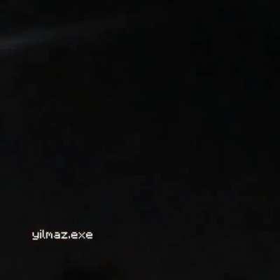 Barata indo pro espaço