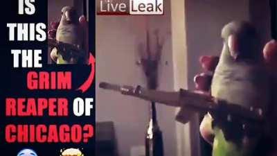 This the Chiraq angel of death 😭🗿🗿🌠🏞️👁️👺👺👺👺👈🚫🌠