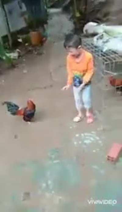 Caretaker or parent laughs and films as kid bawls his eyes out getting picked by a chicken. Kid comes back beating the chicken to death, caretaker/parent still films and laughs from the sidelines.