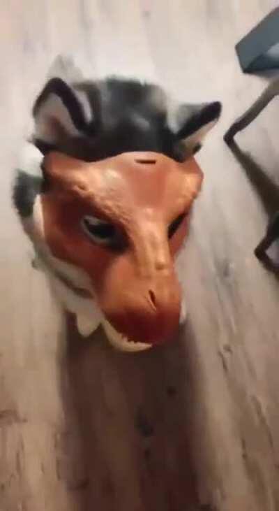 Don't make me anymore scared...