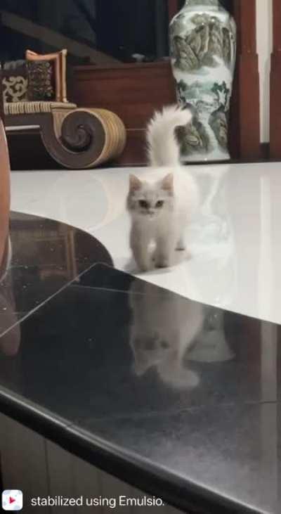 Here comes my polite girl 🥰