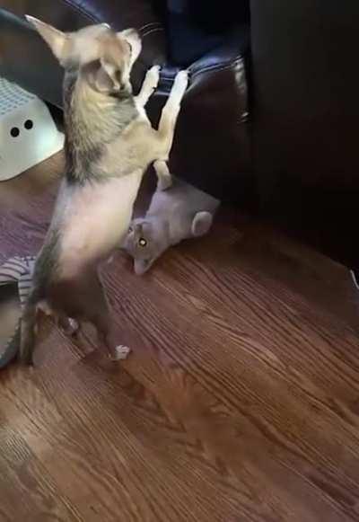 Planned and executed perfectly!