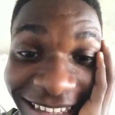 Que raça de cachorro é essa ?