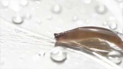 I hit a lot of water drops!