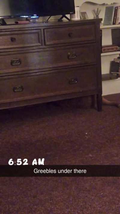 They're in the dresser for sure!