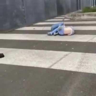 Catfight in the netherlands 