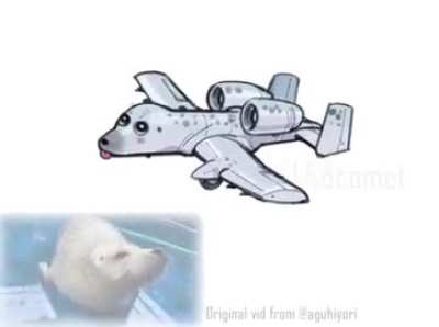 Seal Brrrrrrrrrrrrrrt