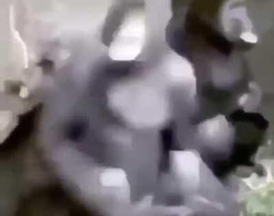 He vibed so hard his bud vibed with him