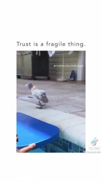 JJ Learning to swim 🤣😂