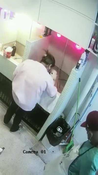 What was captured by surveillance cameras in a Brazilian animal care salon.