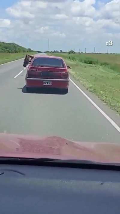 Cada uno transporta lo que quiere