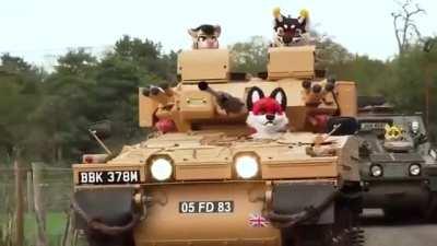 Fala vamos caçar furrys só mais uma vez pra ver o q acontece