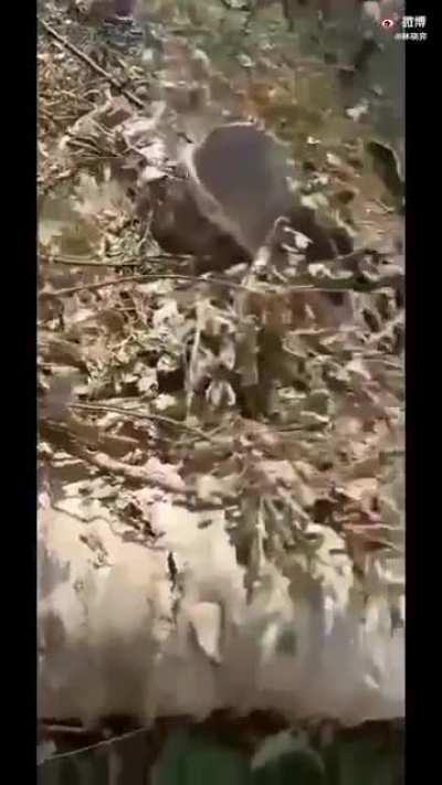 Вчера Китай успешно запустил ракету Long March 4B со спутником на орбиту. Первая ступень упала неподалеку от населенного пункта.