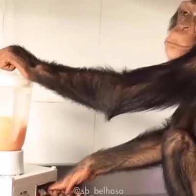 Hmm hmm vitamina 🐵