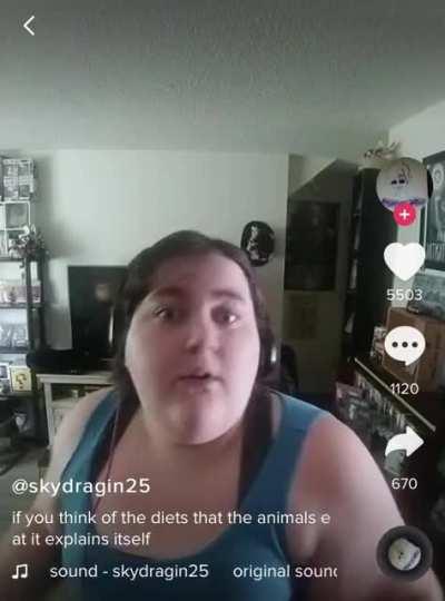 Basicacally 🤷‍♀️