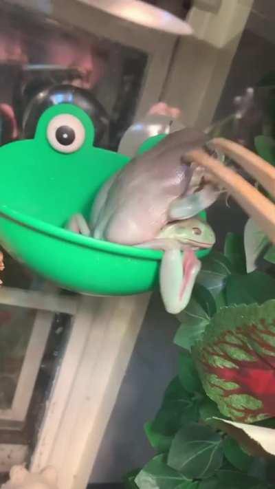 They don't want it GIVE IT TO ME