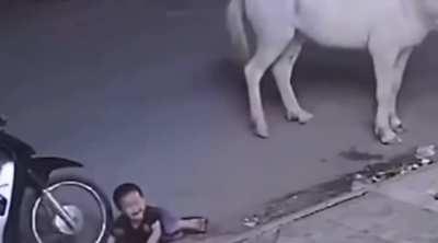Little kid slaps horse and gets karma