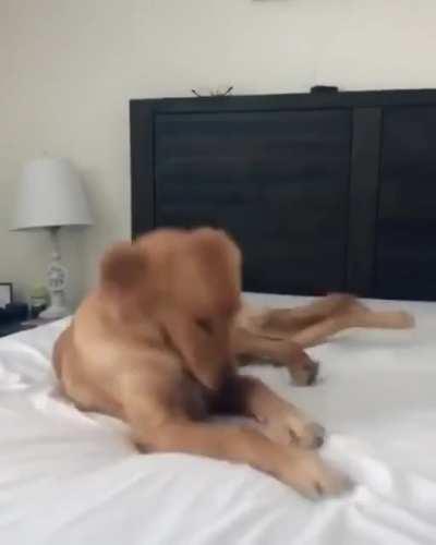 Who.Made.This.Bed.So.Cozy.