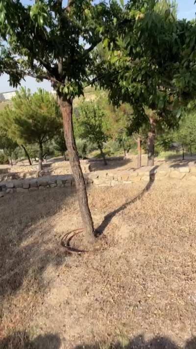 *goes for a sunset walk*: ends taking her top off