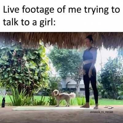 One of these days it will work