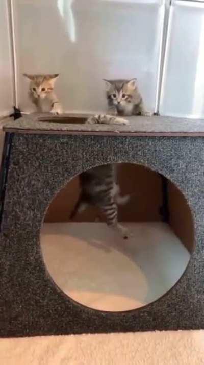 The rescue team came too late