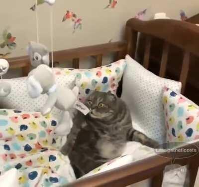 What the heck is going on...