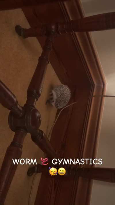 Bert is a lot of things.. but one thing he isn’t, is a bad gymnast