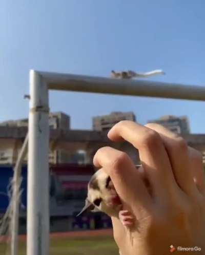 Time to go home boys