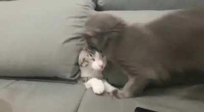 Lichia returning from Narnia while Benny helps her