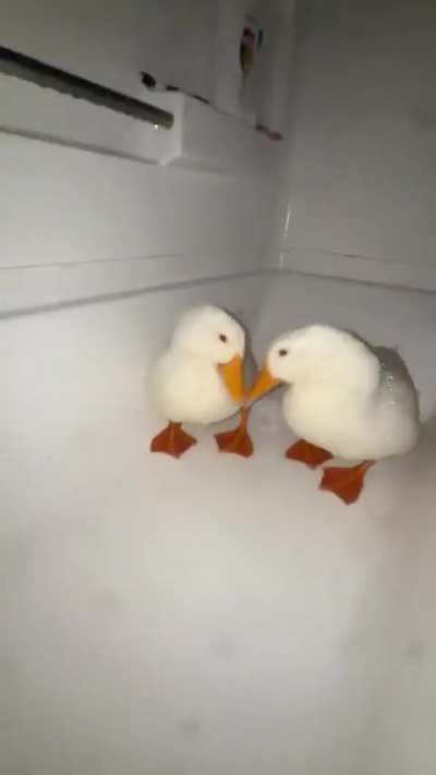 When You’re tired but your brain not beacuse of caffeine and start to drop random thougts be like: