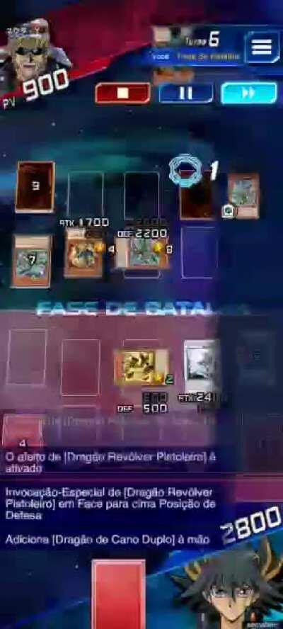 The dolphin died 10 separate times